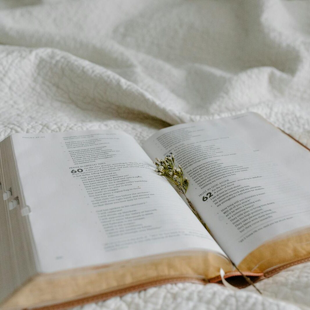 An open Bible on a quilted bedspread with dried flowers marking a page, suggesting peaceful reflection.